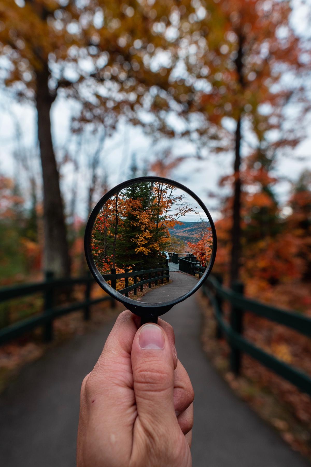 Illustration showing a magnifying glass over a website with broken links